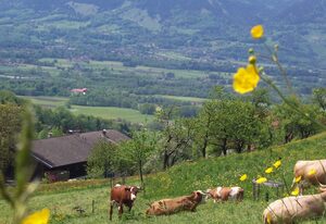 Weberhof – Ferienwohnung Alpenpanorama wahlweise mit 1 oder 2 Schlafzimmer, Balkon, 60 qm