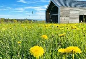 Ferienhaus Rabenbrunn – gemütliches Ferienhaus in ruhiger Lage