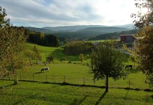 Ferienwohnungen Weghofer **** – Ferienwohnung Obstgarten (65 qm) mit Balkon
