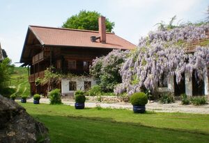 Wampendobler Paradies – Empore 1