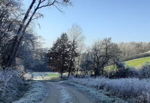Ferienwohnung Kreiller