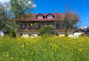 Gasthof Gruber – Einzelzimmer mit Dusche/WC, Minibar und Balkon