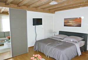 Ferienappartement in der Wolfsgrube-Rambichler