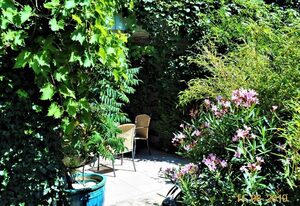 Ferienwohnung Fischer – Ferienwohnung mit 1 Schlafzimmer und Südwestterrasse