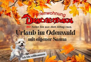 Ferienwohnung Drachenhaus *WIR holen Sie aus dem Alltag raus