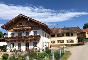 Taubennest