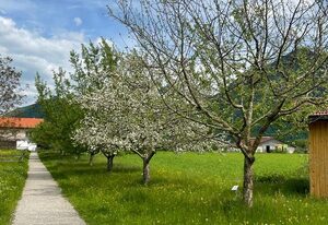 Ferienwohnung Klauserhof – Neue Ferienwohnung 75 qm mit Balkon, bis 4 Personen, 2 sep. Schlafzimmer