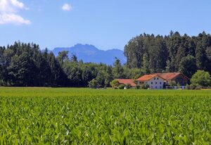Beim Lenglacher – Ferienwohnung Schwalbennest