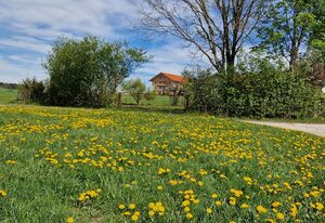 Stadlerhof Alpen- & Seeblick – Ferienwohnung Parterre