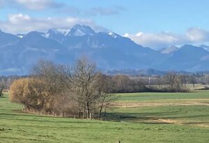 Ferienwohnung beim Binder – 5-Sterne Ferienwohnung 75qm im Erdgeschoss mit Bergblick von der eigenen Terrasse