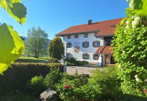 Hotel Heißenhof – Einzelzimmer ohne Balkon mit Dusche/WC