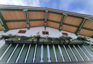 Künstlerhaus Weissgerbergütl – Ferienzimmer Enzian 12 m², ohne Frühstück, Gemeinschaftsküche und -badezimmer