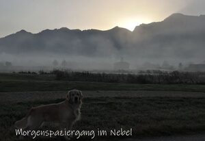Beste Zeit Ferienwohnung