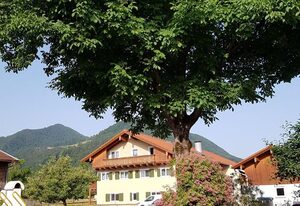 Biererhof – Appartement Grassau ca. 23 qm für 2 Personen