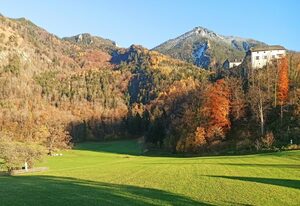 Fewo am Glückswegerl