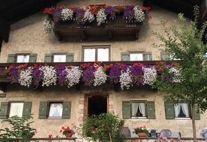 Haus Huber, Waltraud Huber – Ferienwohnung 3, 30 qm, 1-2 Personen, Wohn-Schlafraum, Küche, Badezimmer