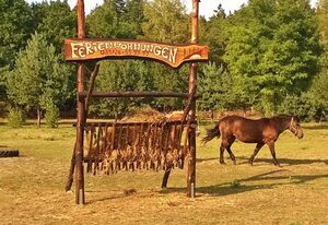 **Ferienwohnungen am Knappensee** – SpatzenNest