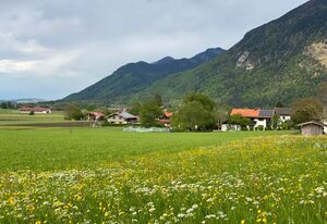 Apartment Linde