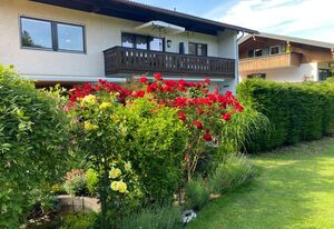 Apartment Linde