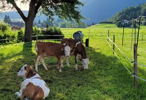 Ingerlhof - Chiemgau Karte – Doppelzimmer Nr. 6 mit Etagendusche und WC und Balkon