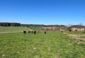 Biohof Liebhart – Ferienwohnung Lindenbaum