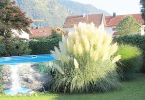 Ferienwohnung Steffl – Ferienwohnung 54 qm, 1-3 Pers., großzügige Terrasse, Swimmingpool, Liegewiese