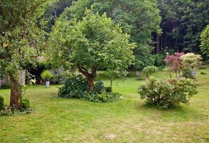 Ferienwohnung Deubzer in Palling – Ferienwohnung mit Terrasse für 1-3 Personen 71 qm