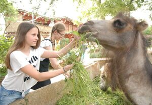 Naturschutz-Tierpark Görlitz, Ferienwohnung Pandahöhle – Urlaub im Zoo: Pandahöhle