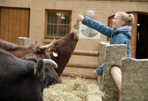 Naturschutz-Tierpark Görlitz, Ferienwohnung Pandahöhle – Urlaub im Zoo: Pandahöhle