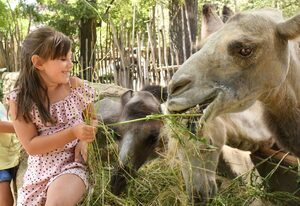 Naturschutz-Tierpark Görlitz, Ferienwohnung Pandahöhle – Urlaub im Zoo: Pandahöhle