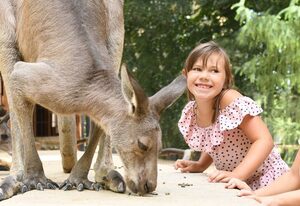 Naturschutz-Tierpark Görlitz, Ferienwohnung Pandahöhle – Urlaub im Zoo: Pandahöhle