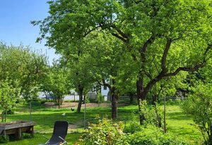 Haus Hörterer | Chiemgau Karte – Nr 1 Zimmer mit Etagendusche/WC, Balkon, ohne TV für 1-2 Personen