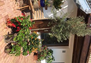 Ferienwohnungen Seehof - Petting – Ferienwohnung 1 - Seeblick