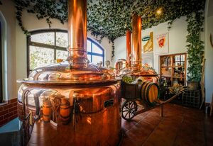 Brauerei Gasthof Zwönitz, Inh. Dominik Naumann – Doppelzimmer