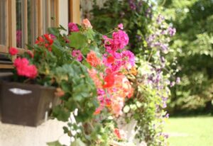 Kleinrachlhof | Chiemgau Karte – Appartement Rosmarin 28 qm 1-2 Pers., Kochnische, Balkon