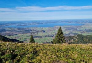 Schmugglereck – Ferienwohnung 40 qm mit Balkon