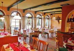 Landhotel Neuwiese mit Traditionsgasthof An der Mühle – 20 Einzelzimmer