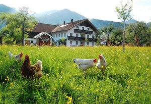 Haiderhof – Ferienwohnung Hehnagartn,  2 Personen, 50 qm, 1 separates Schlafzimmer