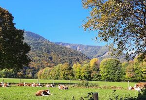 Ferienwohnung Alpenflair