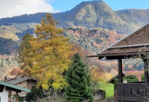 Ferienwohnung Alpenflair