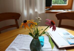 graublau – Appartement, 38 qm mit Bergblick, bis 4 Pers., Balkon