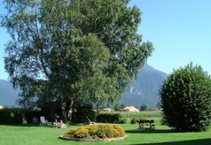 Schweizer Hof Am Golfplatz – Ferienhaus 45 qm, f. 2 Pers., Schlafzimmer, Wohnzimmer, Küche, Südterrasse, gr. Liegewiese, ruhige Lage mit Bergblick.