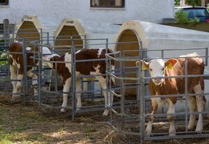 Schwaigerhof Rottau – Ferienwohnung II, 40 qm