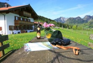 Maurerhof inkl. Chiemgaukarte – Ferienwohnung Rauschberg 50qm, Balkon, Küche, 1 Schlafzimmer, 1 Wohnschlafraum