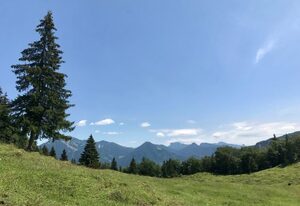 Chalet Chiemgau – Ferienhaus, für 1-4 Personen, 60 qm, 1 sep. Schlafzimmer, Terrasse