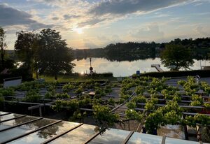 Das Bootshaus – Ferienwohnung Seeblick, 60 qm, 1 sep. Schlafzimmer mit Balkon