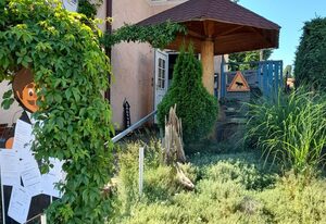 Landeskrone Apartments – Ferienwohnung Willy