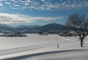 Einsiedlhof – Gamsblume