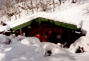 Ferienhäuschen Rosi – Ferienhaus für 1-2 Pers., 32 qm, 1 sep. Schlafzimmer, Terrasse