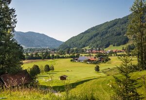 Ferienwohnungen Widdmoos inkl. Chiemgaukarte – Ferienwohnung 2, 44 qm, Balkon, Kochnische, 1 Wohzimmer, 1 Schlafzimmer, 2 P.